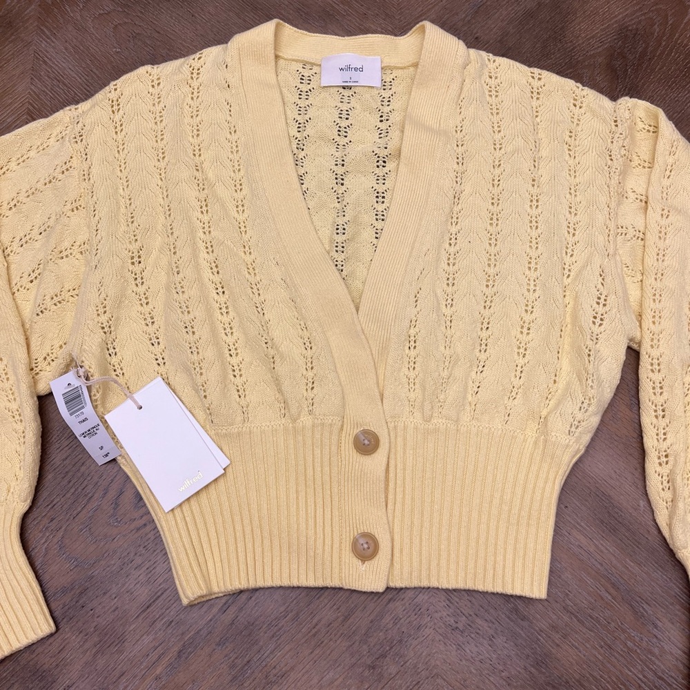 Aritzia Cardigan